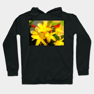 Love Blooms Hoodie